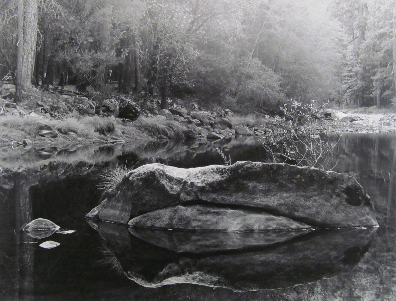 Black and white photograph of a large boulder in a river along the shore with trees in the background.